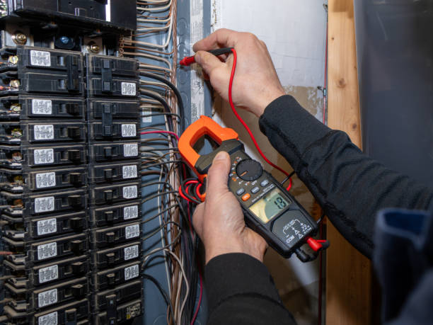 Best Electric Panel Repair  in Goliad, TX